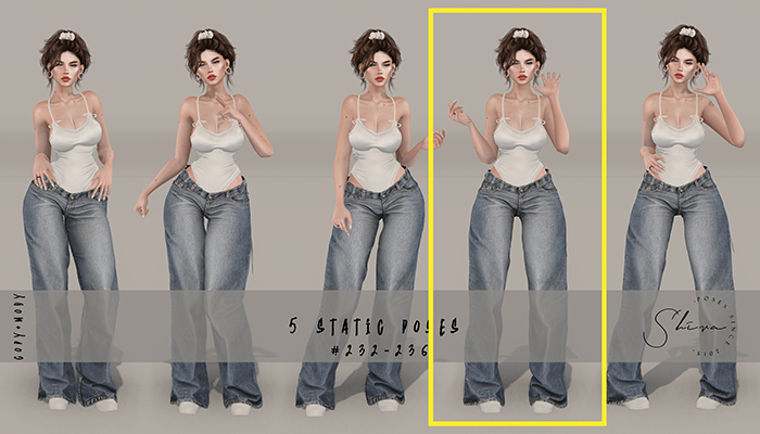 shiva poses set #235 BOXED