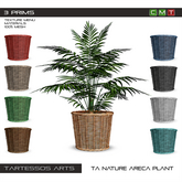 ::TA Nature Areca Plant