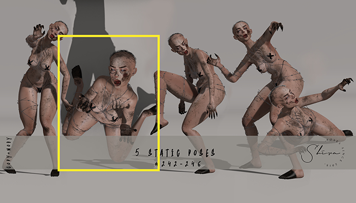 shiva poses set #243 BOXED