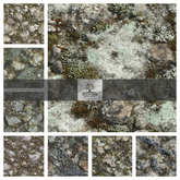 TERRAIN - TUNDRA PRAIRIE