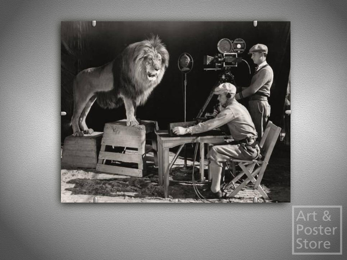 MGM Lion | Classic Photo Poster | Mesh Clip Frame 
