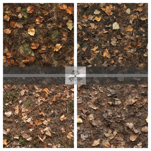 TB - TERRAIN FOREST DEAD LEAVES