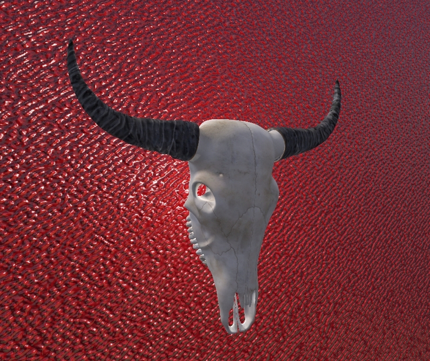 Buffalo Skull 