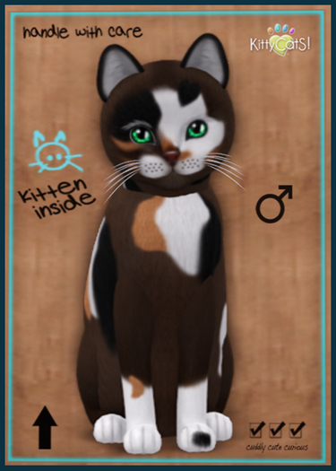 KittyCatS Box - Genesis - Patch II Dreamy fold