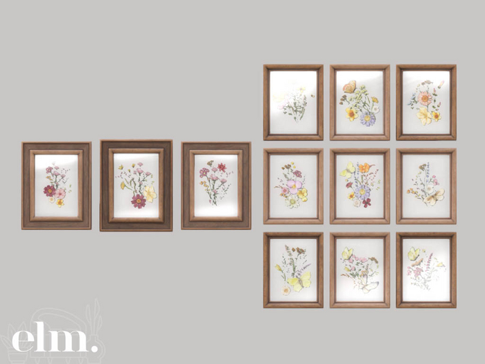 Elm. Yarrow Frames//Wall Frames