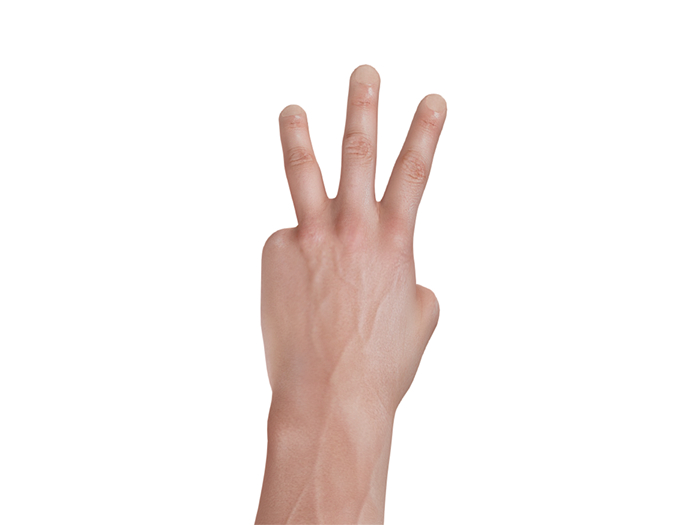 [STAIN] Hand pose #3