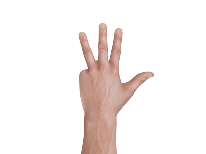 [STAIN] Hand pose #6