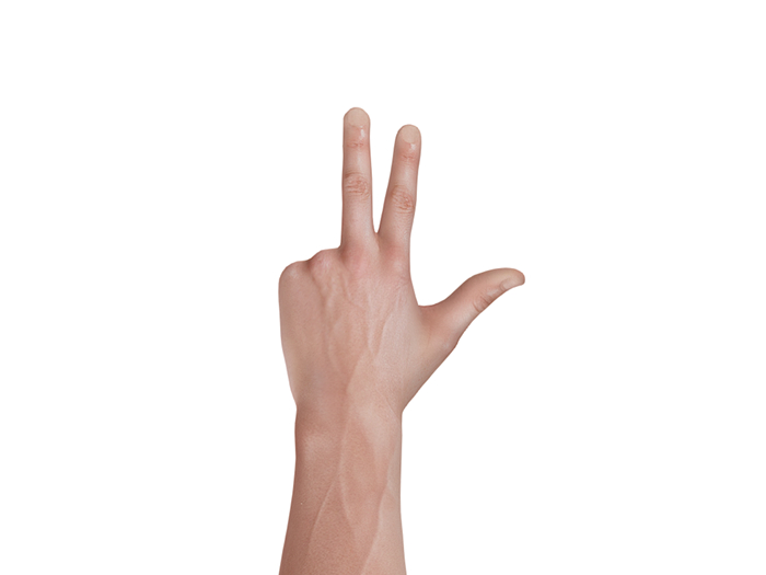 [STAIN] Hand pose #7