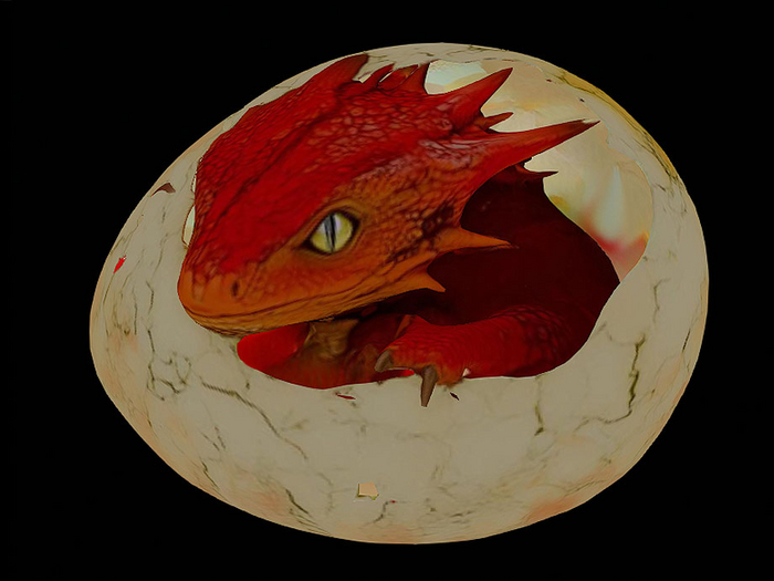 Baby Dragon Hatchling In Egg
