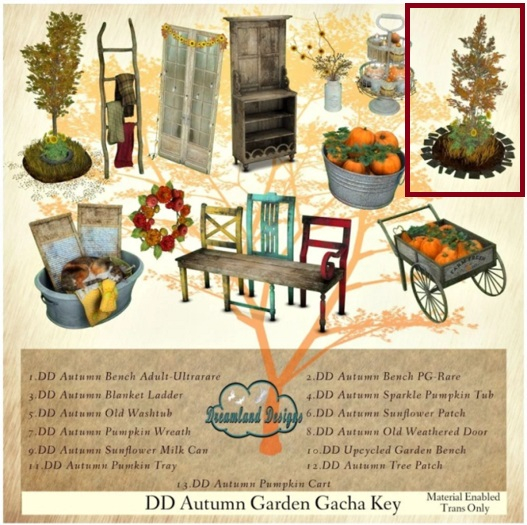 06.DD Autumn Sunflower Patch/Boxed