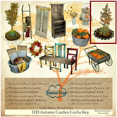 06.DD Autumn Sunflower Patch/Boxed