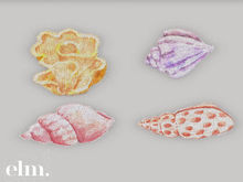 Elm. Summertime Rugs//Coastal Treasures [PACK #1]