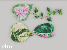 Elm. Summertime Rugs//Palm Breeze [PACK #1]