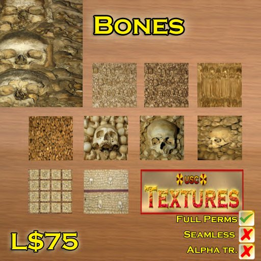 USC Textures - Bones