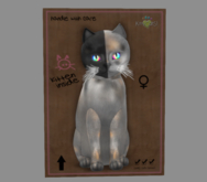 Female Breedable Cat Chimera - Washed Tortie Prismatic