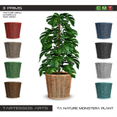 ::TA Nature Monstera Plant