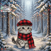 [My Home] Winter Cat