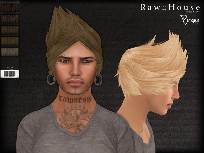 RAW HOUSE :: Bromo Hair [Dark Browns]