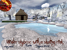 Winter skybox with a skating rink