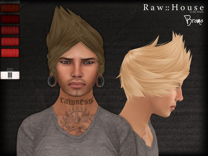 RAW HOUSE :: Bromo Hair [Reds]