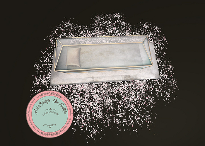 SPELL : The Glass Coffin RARE