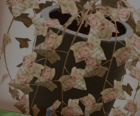 POTTED: Breedable SING FOR ME Beautiful Ivy Plant Seed