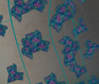 POTTED: Breedable SCALES OF TEAL Beautiful Ivy Plant Seed