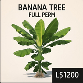Banana Tree FULL PERM – Lush Tropical Decor for Your Sim
