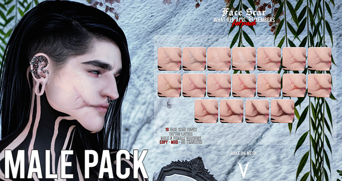 VIENA. Face Scar Male Pack