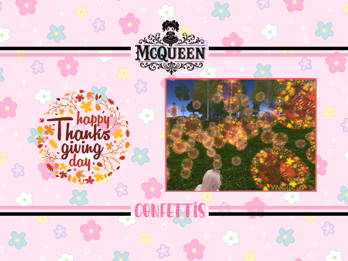 -Mcqueen- Yay-21-ThanksGiving-9 - Add