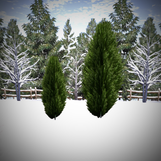 V_Winter Cypress Tree DEMO