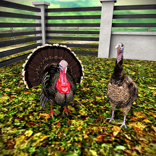 Second Life Marketplace - DFS Turkey Male & Female Pair [Actual Item]