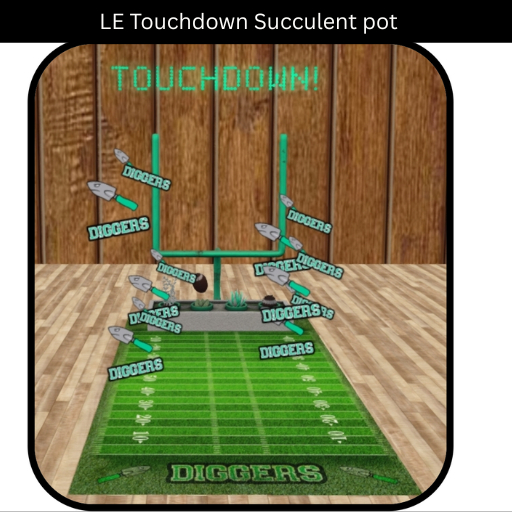 Potted ~ LE Touchdown Succulent Pot