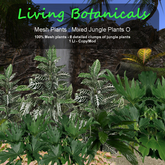 Inochi Botanicals - Jungle Edging O