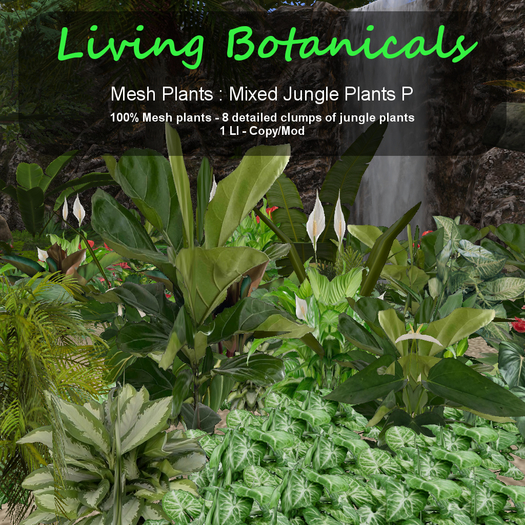 Inochi Botanicals - Jungle Edging P