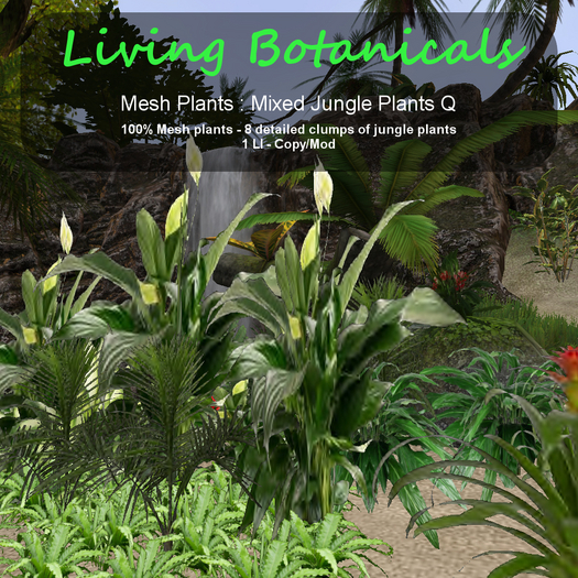 Inochi Botanicals - Jungle Edging Q