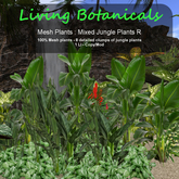 Inochi Botanicals - Jungle Edging R