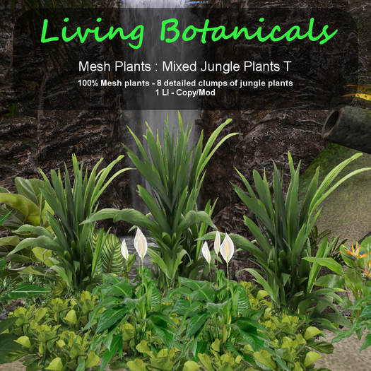 Inochi Botanicals - Jungle Edging T