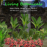 Inochi Botanicals - Jungle Edging U