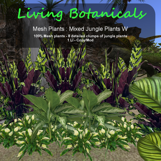 Inochi Botanicals - Jungle Edging W