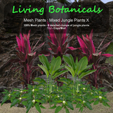 Inochi Botanicals - Jungle Edging X