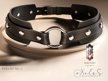 eXxEsS : Collar 2