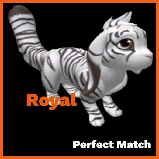 Solid Tree Royal M Friendly #8401842