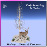 Early Snow Stag