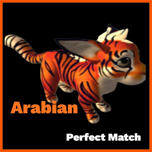 DOS Vivid&Jewel Solid Tree Arabian F #7930583