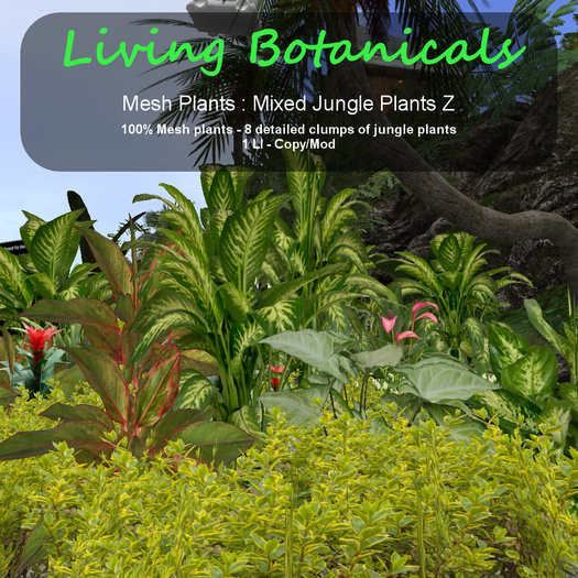 Inochi Botanicals - Jungle Edging Z