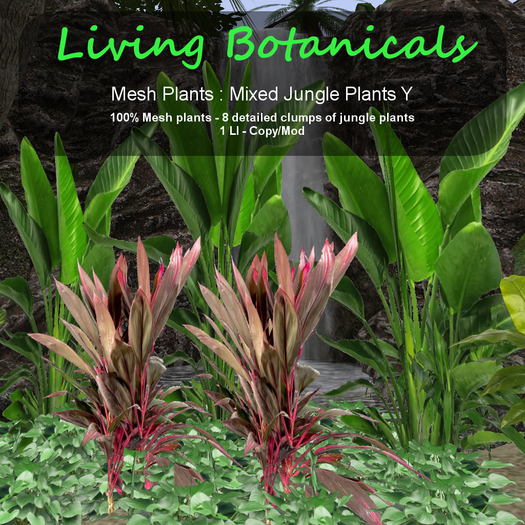 Inochi Botanicals - Jungle Edging Y
