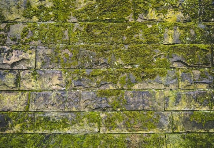 NATURAL WALL (9)