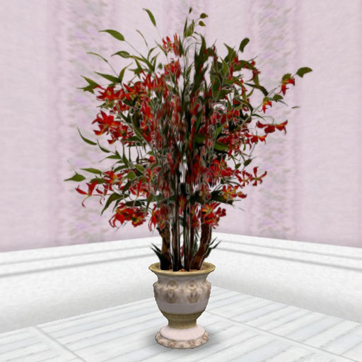 HousePlant 010