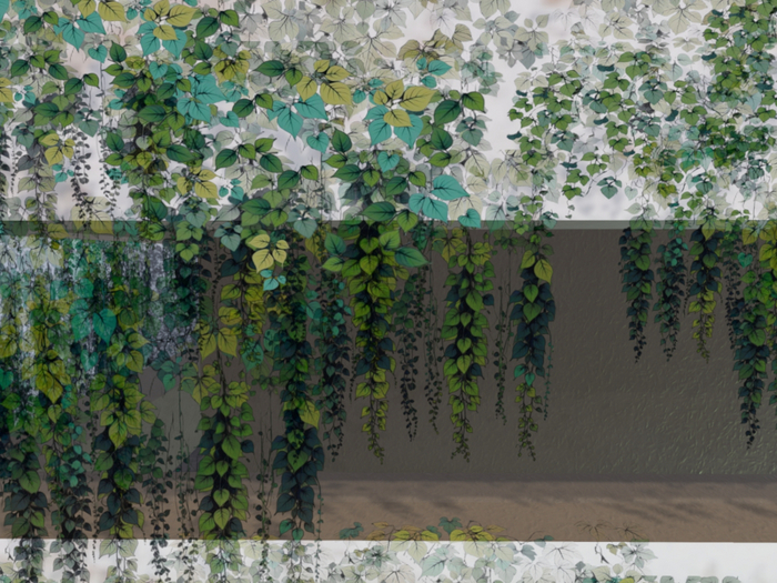 Hanging Vines 
